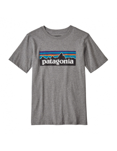 Patagonia Boys P-6 Logo Organic Tee